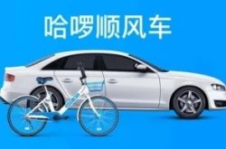哈罗发展顺风车业务,需要解决先有鸡还是先有